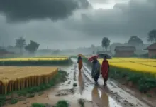 weather-update-rajasthan-storm