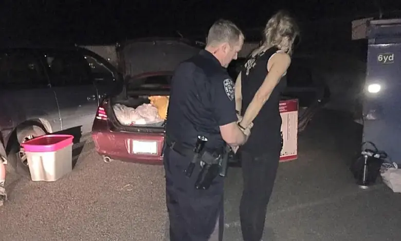 woman-caught-with-stolen-children