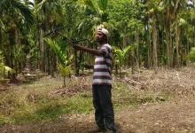 woman-lost-in-karnataka-forest