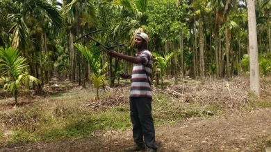 woman-lost-in-karnataka-forest