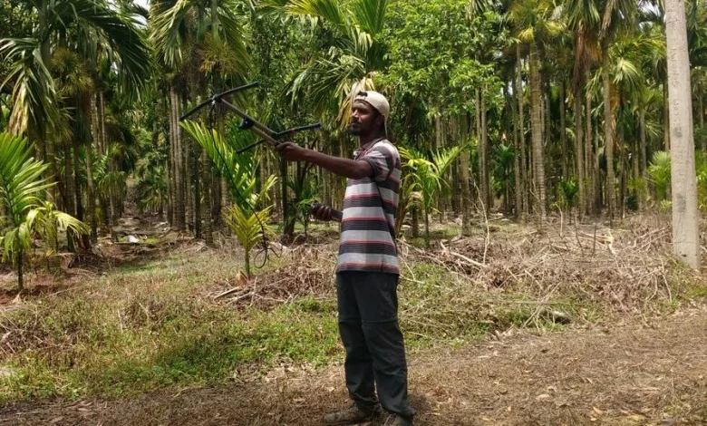 woman-lost-in-karnataka-forest