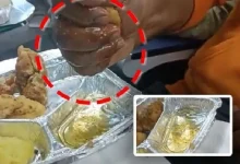 woman-swollen-lips-vande-bharat-train