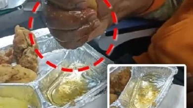 woman-swollen-lips-vande-bharat-train