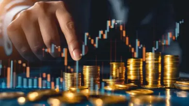 5000-percent-return-company-results