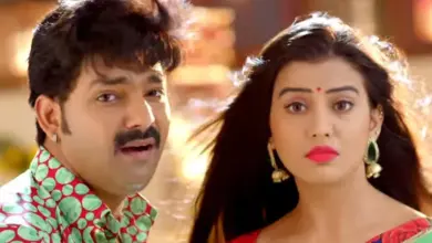 akshara-singh-pawan-singh-memories