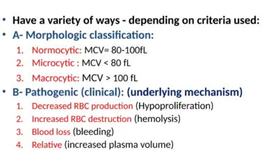 anemia-dementia-relationship