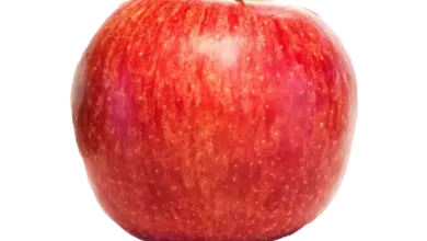 apple-features-2026-emergency-situations
