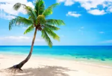 benefits-of-eating-fruits-in-summer