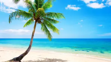 benefits-of-eating-fruits-in-summer