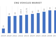 best-selling-cng-cars-market-share