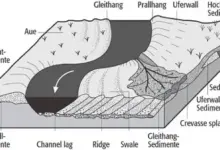 bihar-team-ipl-need
