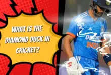 diamond-duck-indian-cricketers-out