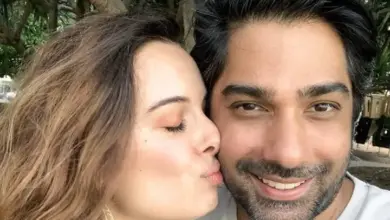 evelyn-sharma-divorce-news