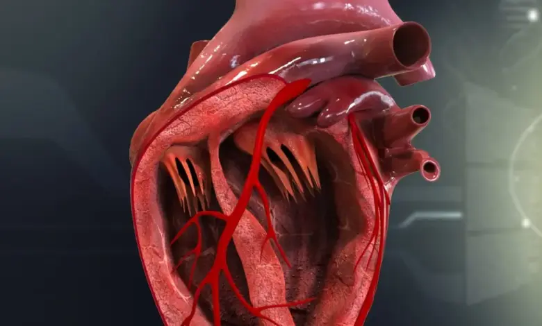 heartbeat-cancer-protection-study