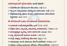 ipl-playoff-scenario-mumbai-indians