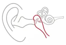 love-horoscope-may-20-romantic-day