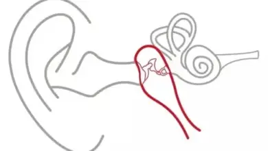 love-horoscope-may-20-romantic-day