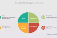 meesho-q4-results-revenue-growth