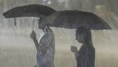 mp-heavy-rain-alert-imd-update