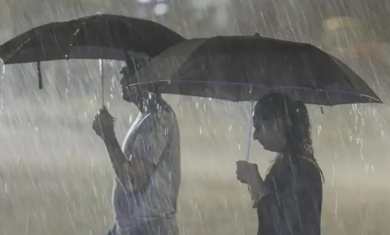 mp-heavy-rain-alert-imd-update