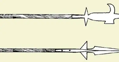 mukul-chaudhary-record-breaking-performance