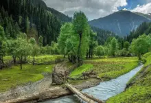 pahalgam-accident-candle-lighting