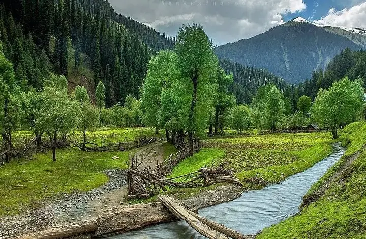 pahalgam-accident-candle-lighting