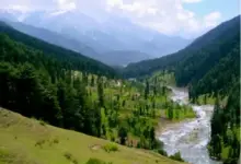 pahalgam-attack-survivors-speak