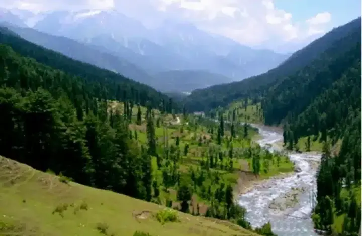 pahalgam-attack-survivors-speak