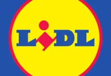q4-dividend-stock-company-results