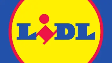 q4-dividend-stock-company-results