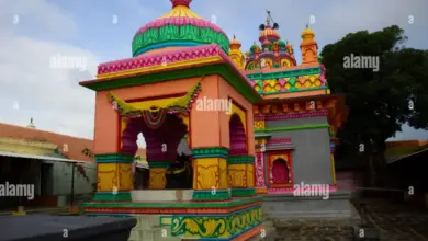 remo-dsouza-house-shiv-temple