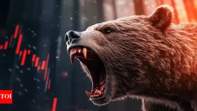 stock-market-rally-sensex-nifty