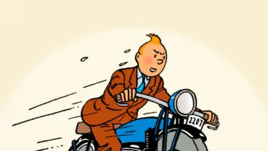 tiger-stuck-in-traffic-rajastan