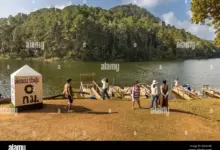 vijay-removes-rickey-vettrivel-osd