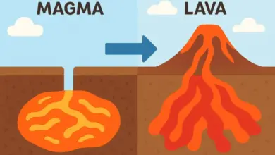 virat-kohli-record-against-kkr