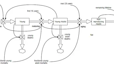 world-liver-day-2026-fatty-liver-children