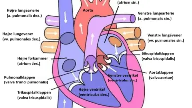 youtube-lawyer-contempt-court